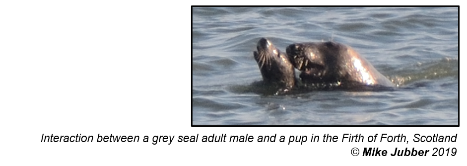 SealPred