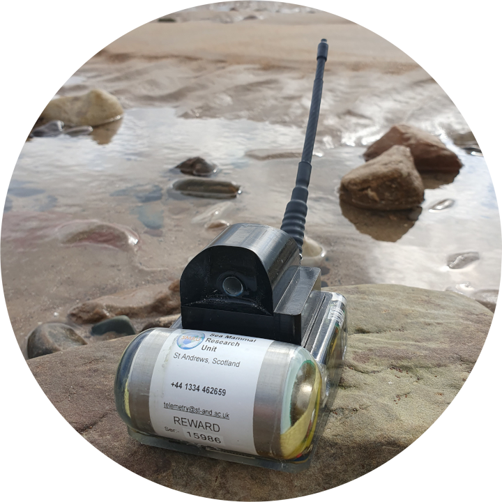 CTD/Fluorometer Oceanography Tag displayed on beach rock