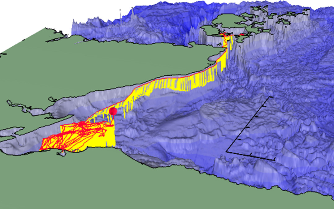 Seal track along the Scottish coastline uploaded from Gen2 GSM/GPS Tag