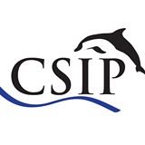 CSIP